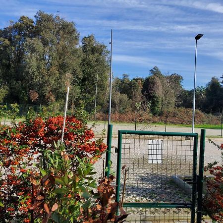 Appartamento 9 Residance Piviere Calambrone Zewnętrze zdjęcie